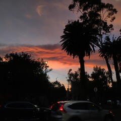 sunset in the city © Eduardo