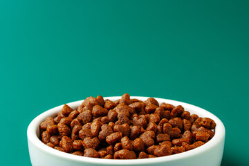 Bowl of dry pet food on green background