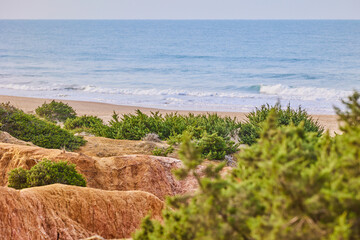 Sand dunes overgrown with bushes against the backdrop of a deserted beach and the endless blue...