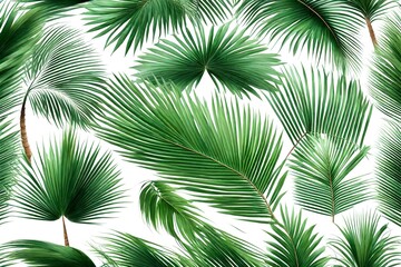 Group of big green leaves of exotic palm tree Isolated on white transparent background, png