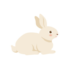 Cute rabbit sitting isolated on white background. Animal illustration.