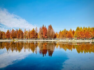 autumn in the mountains