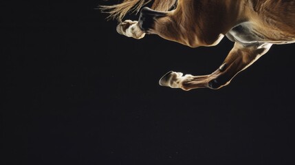 Closeup of a horse's legs in a jump on a black background. Animal in motion