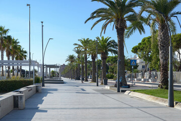 The promenade in the southern city, palm trees