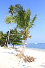 Beach in Panglao, the Philippines