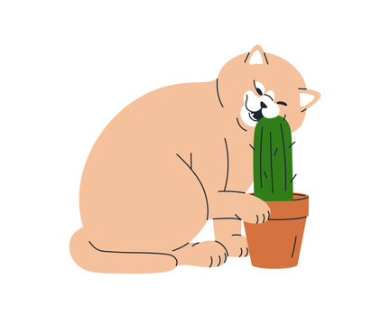 Funny cat pet. Cute kitty biting cactus in pot, houseplant. Adorable amusing feline animal chewing barbed spiky plant. Comic humor flat graphic vector illustration isolated on white background.