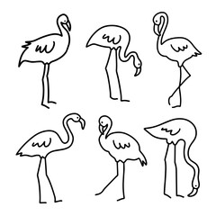 Set of abstract flamingos. Line drawing minimalist design. Hand drawn art. - 742379626