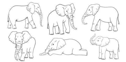 Elephant line sketch isolated on white background. Vector engraving illustrations set. Doodle african animals