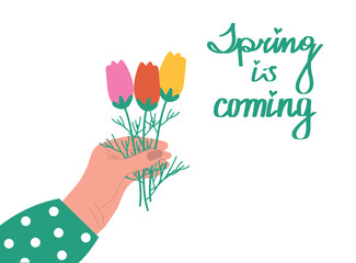 Woman's hand holds a bouquet with field tulips of different colors and a handwritten inscription Spring is Coming. Vector spring illustration suitable for postcard, banner, flyer, screensaver