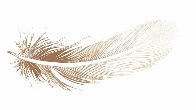 bird feathers background pattern, banner, wings background picture, seamless background