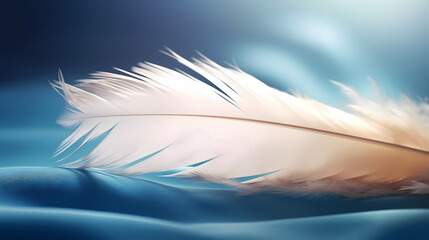 Fototapeta na wymiar Feather texture, pastel color pastel background line decoration