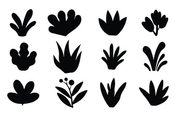 Plants And Leaves Vector Set Outline Silhouette Icons In White Background