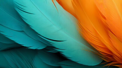 Multicolor feather background, feather texture