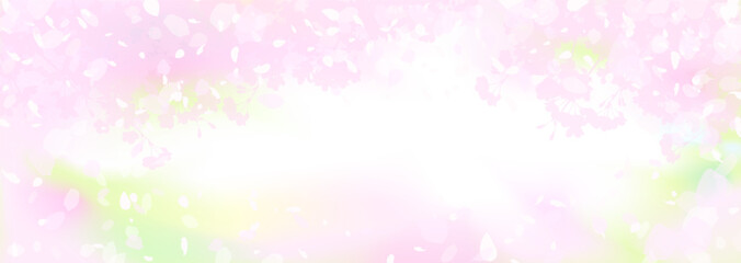 Obraz na płótnie Canvas 光に溶ける桜と新緑