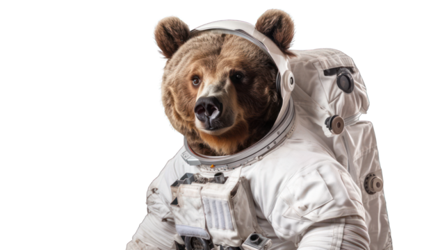 Adorable Bear in astronaut custom isolated on transparent background