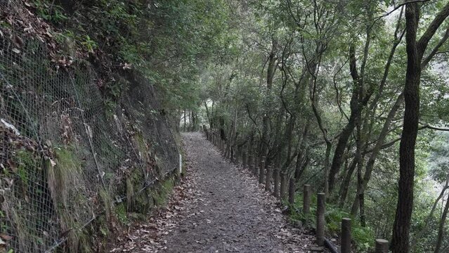 Settsu-kyo Osaka