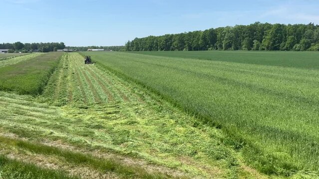 A tractor mows the grass. Agricultural field work.