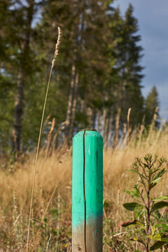 Waldgebiet, Cobbenrode, Sauerland, HSK, Sommer 2023