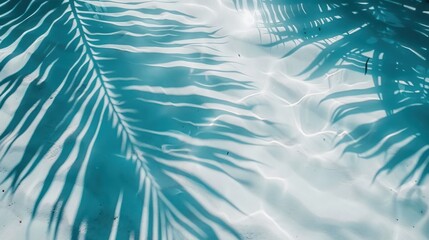 Fototapeta na wymiar Palm leaf shadows in a summer scene move gracefully over the water, forming patterns that adorn the white sandy shore