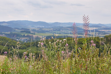 Landschaft im Sauerland, Eslohe-Cobbenrode, Hochsauerlandkreis, NRW, Deutschland, Germany, 2023