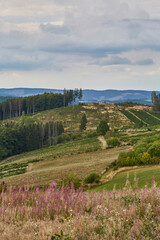 Landschaft im Sauerland, Eslohe-Cobbenrode, Hochsauerlandkreis, NRW, Deutschland, Germany, 2023