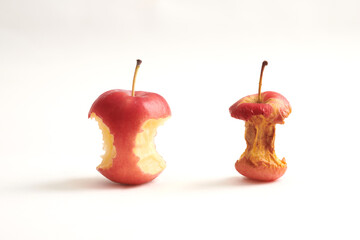 two apples isoalted in white background. (partially eaten and also partially eaten but dried). Concept of celebrating life's transitions – from the youth to the seasoned richness of experience.