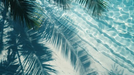 Summer background with Palm leaf shadows dance on the water, casting patterns on the white sand beach. A captivating summer vacation backdrop