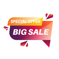 Big Sale Special Offer Label or Banner