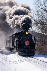 冬の川を渡る蒸気機関車　釧路湿原　SL　C11　