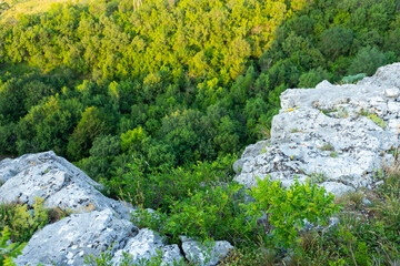 Gray wild rocks and wild green forest. View from above. Landscape.
