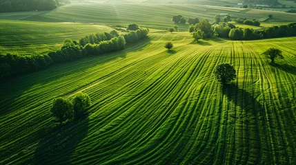 Rolgordijnen Aerial view of green. © UsamaR