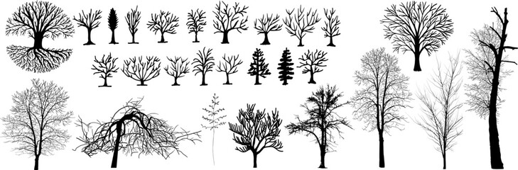 Large set of trees without leaves. Vector images of different types of trees. - obrazy, fototapety, plakaty