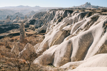Fototapeta na wymiar Amazing Volcanic Rock Formations in Cappadocia, Turkey. Mushroom Valley. 