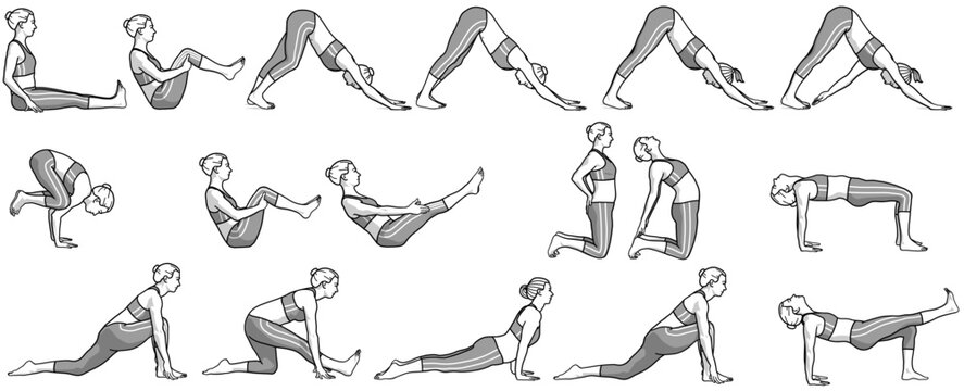Illustration yoga / Kakasana / Krähe / Ustrasana / Kamel / Adho Mukha Svanasana / herabschauender Hund / Bhujangasana / Kobra / meditation / mobilisation / stretching