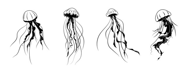 Set of Line art one line jellyfish for decoration design. Black line vector illustration on white background © Inna