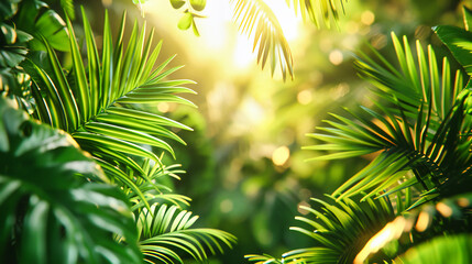 Fototapeta na wymiar Sunlit green palm leaves against a bright blue sky, illustrating the lush and vibrant beauty of a tropical forest in summer
