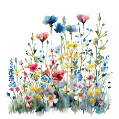 watercolor illustration flowers in the garden
