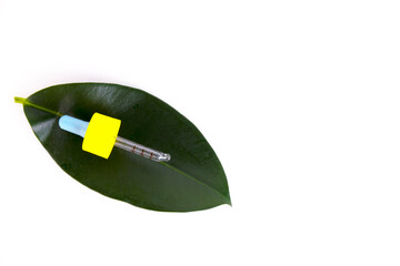 Blank amber glass essential oil bottle with pipette on green leaves background. Copy space