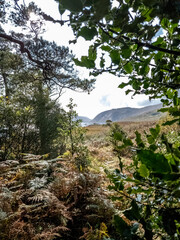 Lough Veagh, Glenveagh National Park - Donegal, Ireland