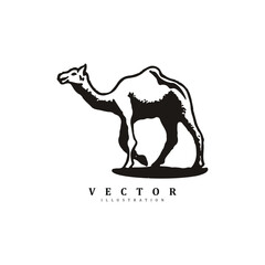 Simple minimal camel vector art illustration