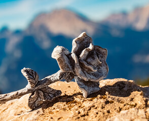 Details of a stone rose with Mount Watzmann in the background at the famous Kehlsteinhaus, Eagle´s Nest, Berchtesgaden, Bavaria, Germany