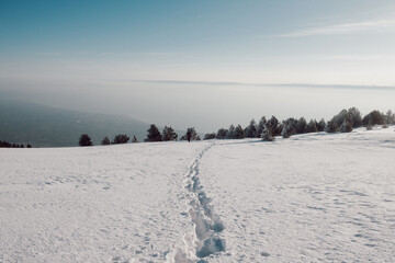 snow covered mountains