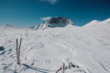 snow covered mountains