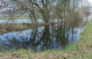 Flooded meadows in the Altmark, Saxony-Anhalt, Germany
