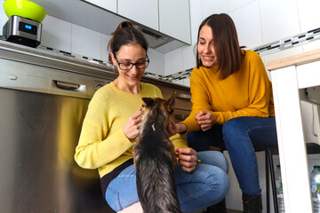 Caucasian lesbian couple having a delicious coffee happily in the kitchen and playing with their little dog. LGBT couple concept