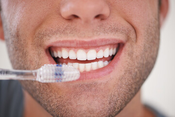 Closeup of person brushing teeth, toothbrush and dental for wellness, fresh breathe and tooth...