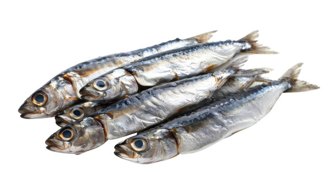 Fresh raw sardines isolated on transparent and white background.PNG image