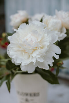 Close-up of a bunch of white peonies in a vase on a table