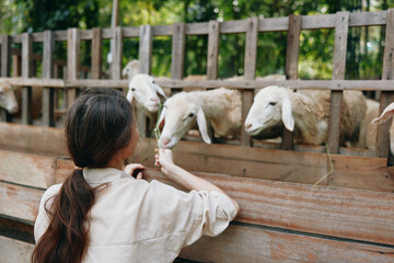 A woman petting a sheep in a pen with a fence in front of it