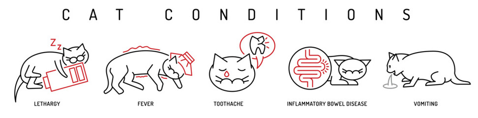 Cat health conditions icons. Hyperthermia, lethargy, vomiting in cats. - 742507892